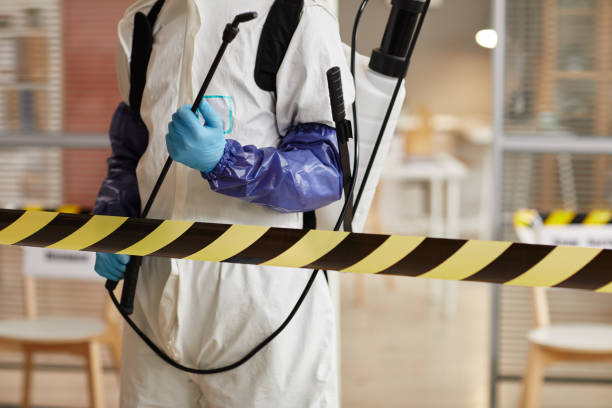Professional Sewage Cleanup technician working in Roseland, OH
